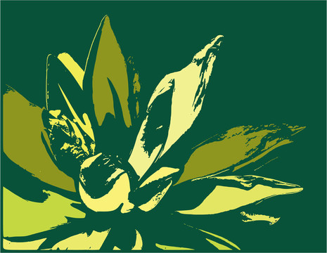 插花藝術