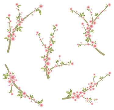 設(shè)計分公司