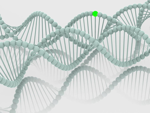 基因在DNA
