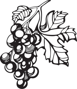 水果