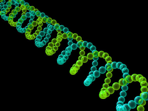 基因在DNA