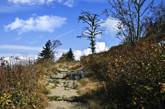 粗糙的登山步道