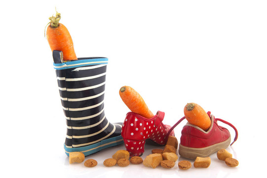 Sinterklaas胡蘿卜和鞋