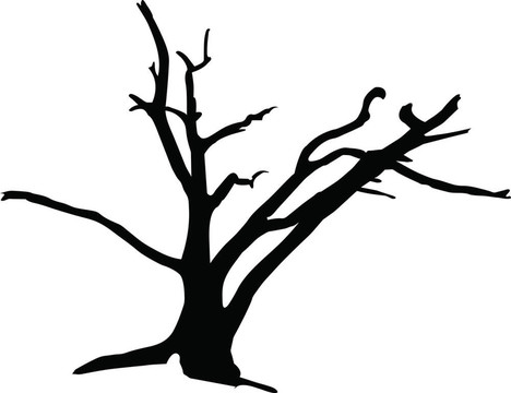 tree3剪影