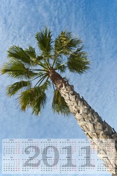 2011calendar