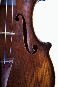 Violin viola Fiddle孤立White