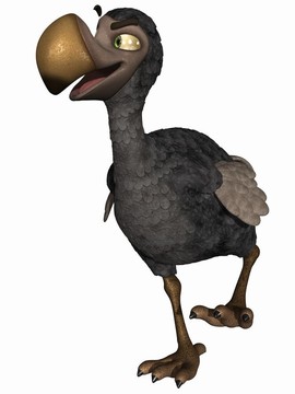 香椿渡渡鳥