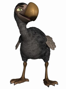 香椿渡渡鳥