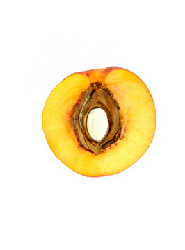 油桃的內(nèi)部結(jié)構(gòu)