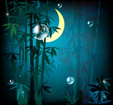 夜晚的雨林