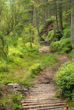 Piller Swamp 10