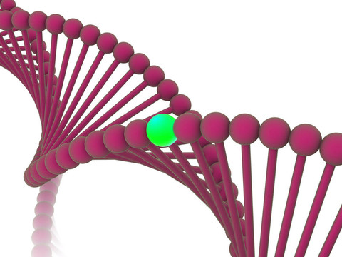 基因在DNA