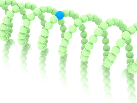 基因在DNA