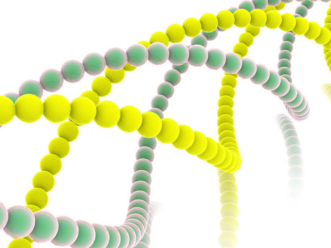 基因在DNA。