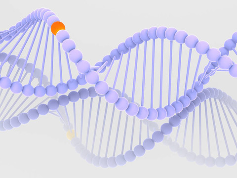 基因在DNA