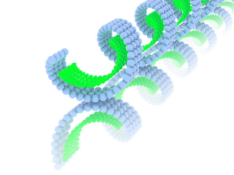 基因在DNA
