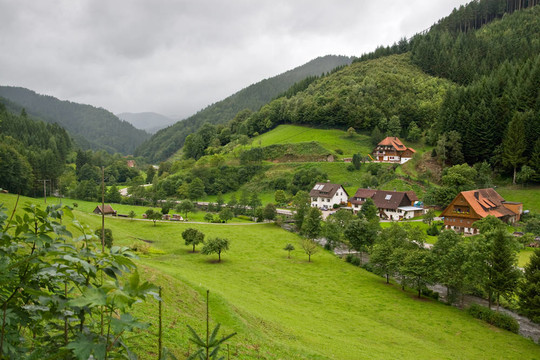 黑森林中的美麗風(fēng)景；德國