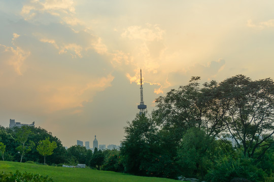 公園一角
