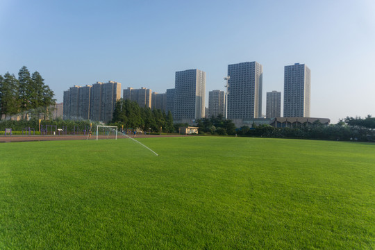 體育場
