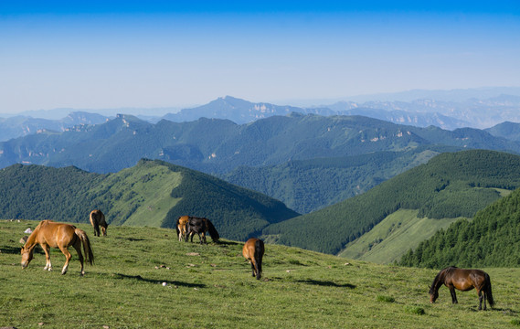 五臺山