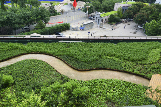 樓頂綠化