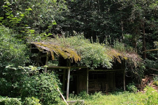 湖北 利川