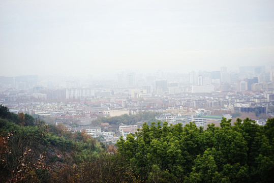 城市