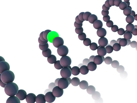 基因在DNA