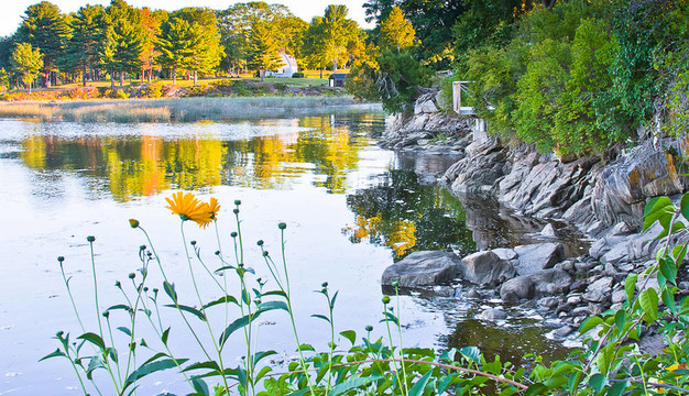 肯納貝克花景
