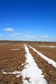 雪道