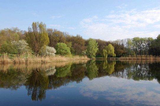 春天的公園湖