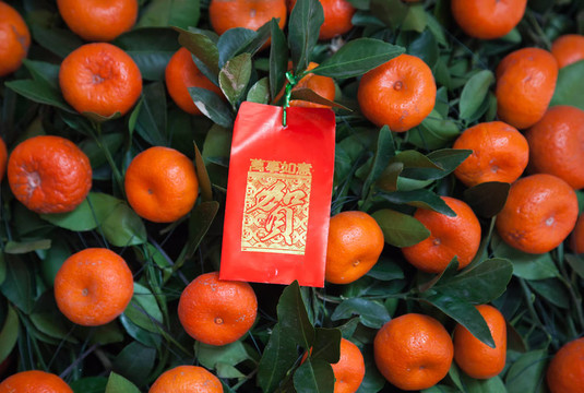 中國(guó)的新年裝飾紅色的包在橘子樹