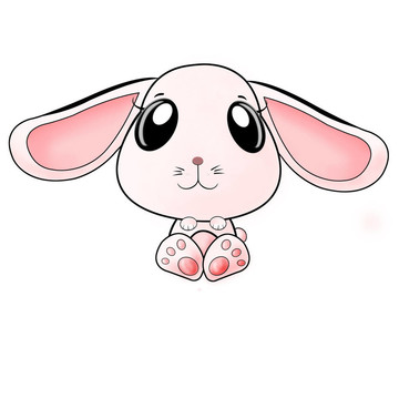 兔子