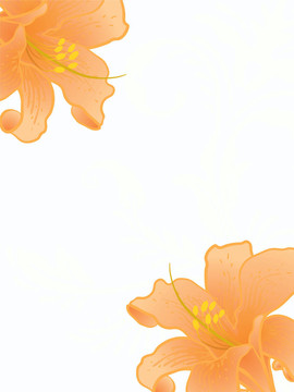 向量的百合花。