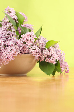 丁香花
