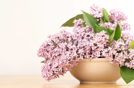 丁香花