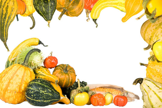 Gourd和壁球架