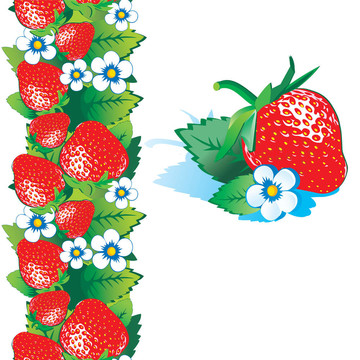 Strawberry。