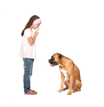 可愛的女孩命令他的狗安靜