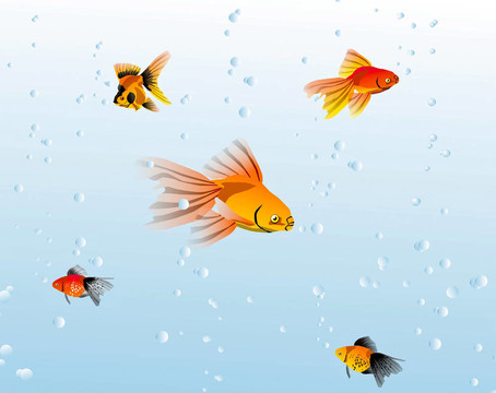 魚在水里