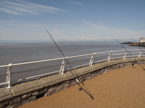 fishingrodsonpier