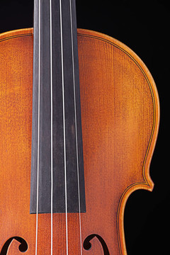 Violin Viola孤立在黑