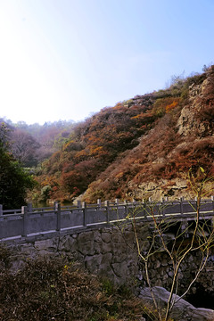 鞏義長(zhǎng)壽山 高清無(wú)噪