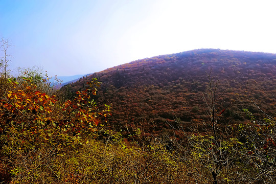 鞏義長壽山 高清無噪