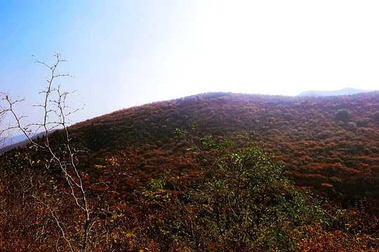 鞏義長壽山 高清無噪