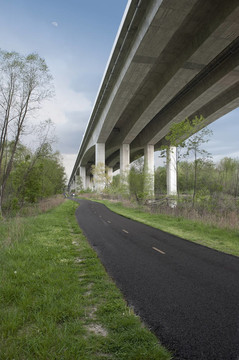 穿過樹林的公路