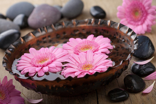 芳香療法在碗花