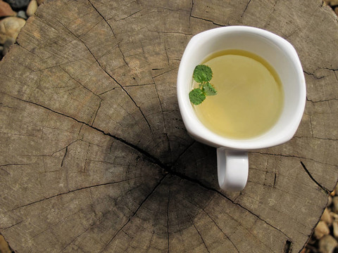 白茶杯木