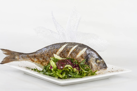 金色與白色的盤子沙拉魚。工作室拍攝