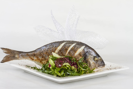 金色與白色的盤子沙拉魚。工作室拍攝